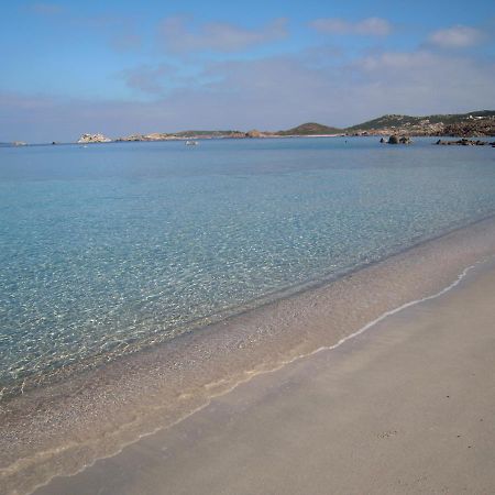Monolocale In Villa Centrale La Maddalena  Zewnętrze zdjęcie